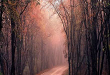 运用了杠杆原理的工具:股票在线配资门户网-中信证券：加速调整筑底 看好白酒板块底部配置机会